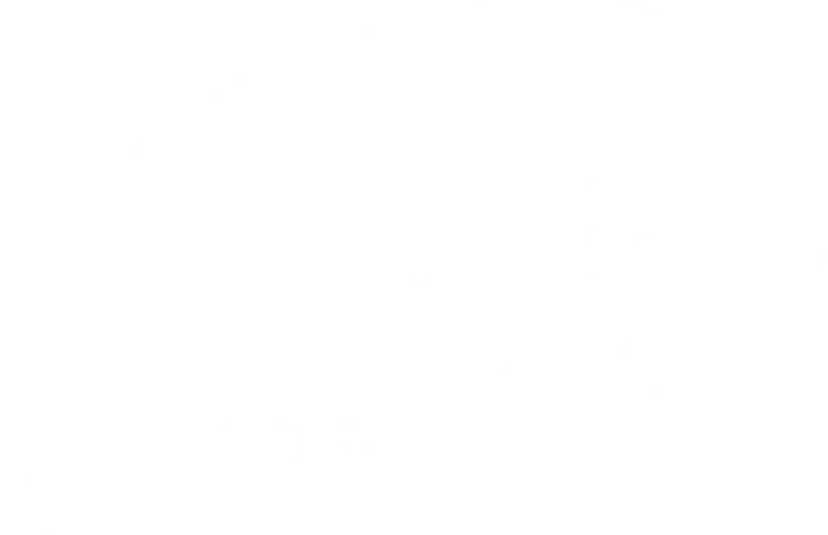 Necip Antep Fıstığı