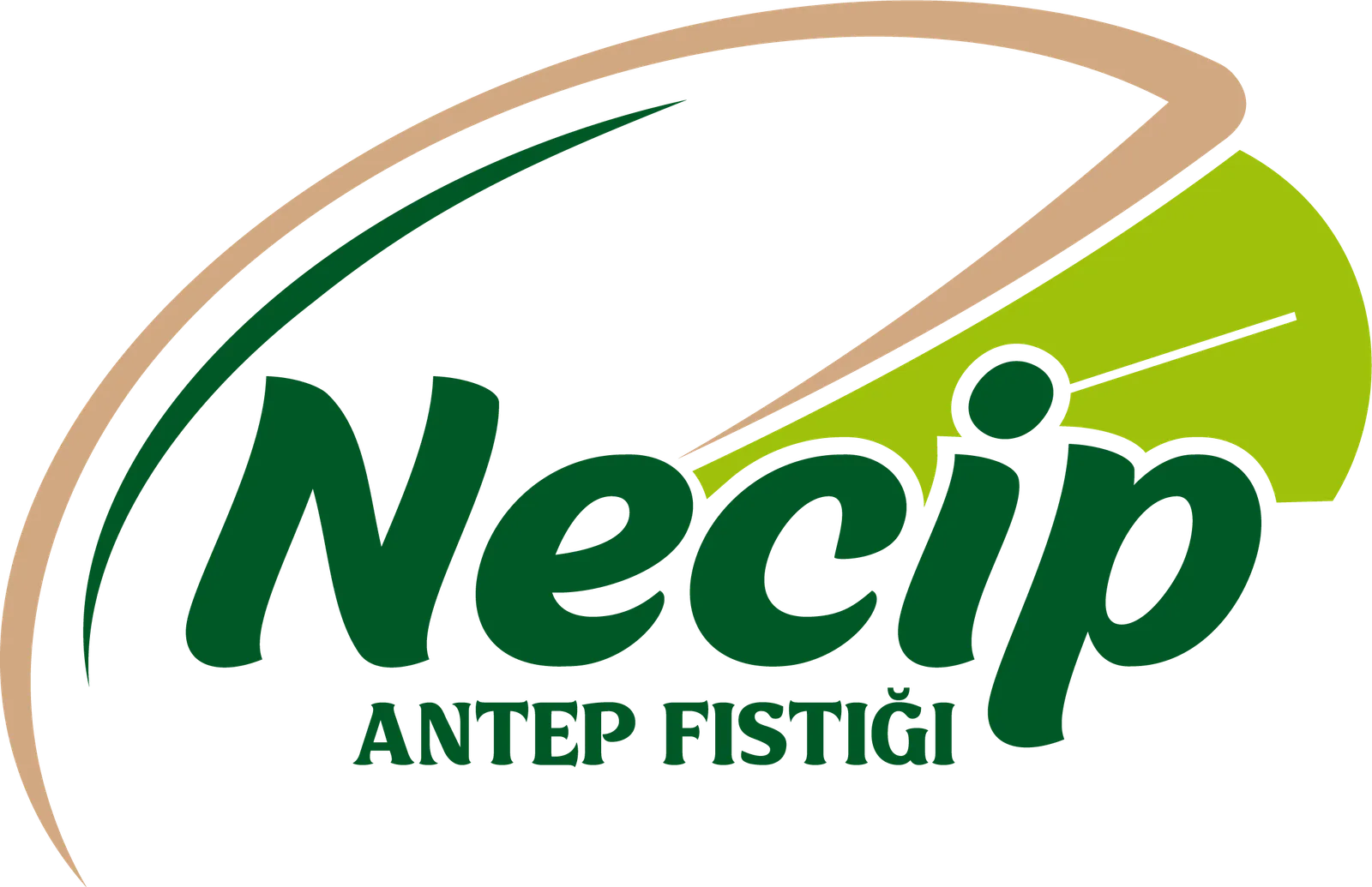 Necip Antep Fıstığı